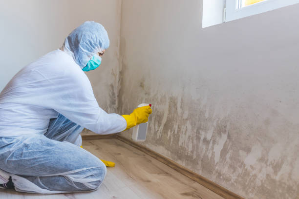 Mold Remediation specialist working in Fayetteville